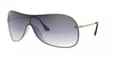 Ray Ban 4411 Sunglasses