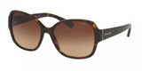 Coach 8166F Sunglasses