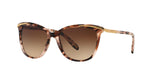 146313 - Havana - Dark Brown Gradient