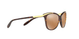 13782T - Havana - Gold Mirror Polarized