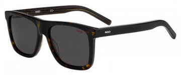 Hugo Hg1009 Sunglasses