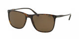 Polo 4102 Sunglasses