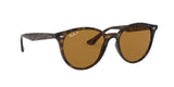 710/83 - Havana - Polar Brown