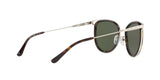 120071 - Silver Tone/dark Tortoise - Green Solid