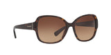 512013 - Dark Tortoise - Brown Gradient