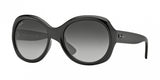 Ray Ban Rb4191 4191 Sunglasses