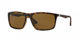 Ray Ban 4228 Sunglasses