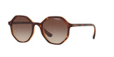 238613 - Brown Gradient