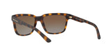 8029T5 - Havana - Polar Brown Gradient