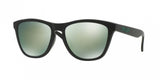 Oakley Frogskins 9245 Sunglasses