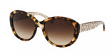 Coach 8106 Sunglasses