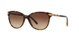 300213 - Havana - Brown Gradient