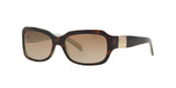 601/T5 - Havana - Polar Brown Gradient
