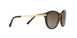 3106T5 - Havana - Brown Gradient Polarized