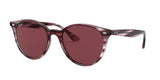 Ray Ban 4305 Sunglasses