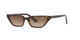 W65613 - Dark Havana - Brown Gradient