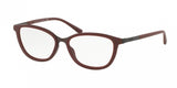 Polo 1166 Eyeglasses