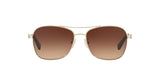 932213 - Light Gold - Brown Gradient