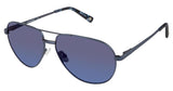 Sperry SPBILLINGSGATE Sunglasses