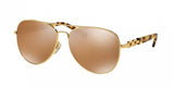 Michael Kors Fiji 1003 Sunglasses