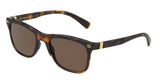 Dolce & Gabbana 6139 Sunglasses