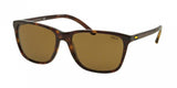 Polo 4108 Sunglasses