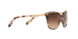 146313 - Havana - Dark Brown Gradient