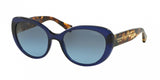 Coach 8049 Sunglasses