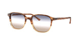 Ray Ban Leonard 2193F Sunglasses