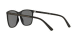 528487 - Black - Light Grey