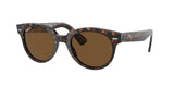 Ray Ban Orion 2199 Sunglasses