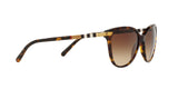 300213 - Havana - Brown Gradient