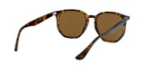 710/83 - Havana - Polar Brown