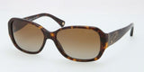 Coach 8011BM Sunglasses