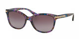 Coach L551 8132F Sunglasses