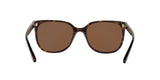 137883 - Havana - Brown Solid Polarized