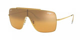 Ray Ban Wings Ii 3697 Sunglasses