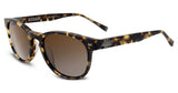 John Varvatos V774CRY51 Sunglasses