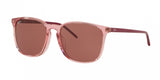 Ray Ban 4387F Sunglasses