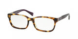 Coach Darcy 6062 Eyeglasses