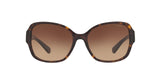 512013 - Dark Tortoise - Brown Gradient