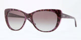 Donna Karan New York DKNY 4109 Sunglasses