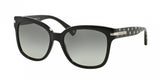 Coach L080 Alfie 8103 Sunglasses