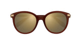 Alexander McQueen Iconic AM0083S Sunglasses