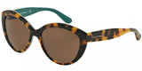 Dolce & Gabbana Contemporary 4239 Sunglasses