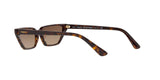 W65613 - Dark Havana - Brown Gradient
