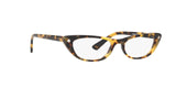 2605 - Brown Yellow Tortoise