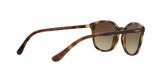 W65613 - Havana - Brown Gradient