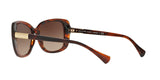 162513 - Brown - Smoke Gradient