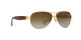 106/T5 - Gold - Brown Gradient Polarized
